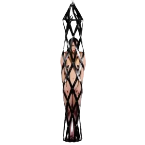 Hanging Leather Strap Cage