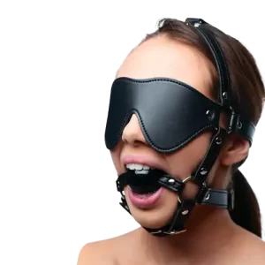 Blindfold Harness and Ball Gag