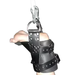 Suspension Bonds Deluxe