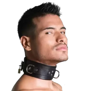 Black Berlin Padded Leather Lockable BDSM Collar