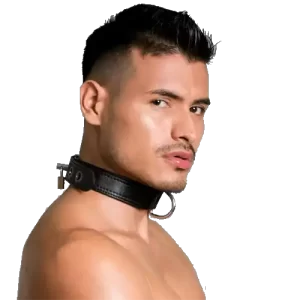 San Francisco Lockable Leather Bondage Collar